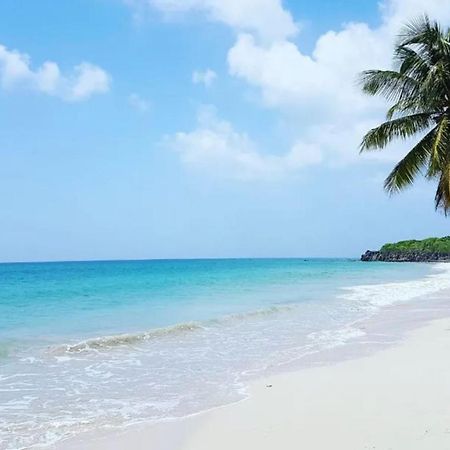 - Les Pieds Dans L'Eau A 50M De La Plage, Cote Mer Caraibe - Domaine De L'Anse Caritan - Sainte-Anne - 외부 사진