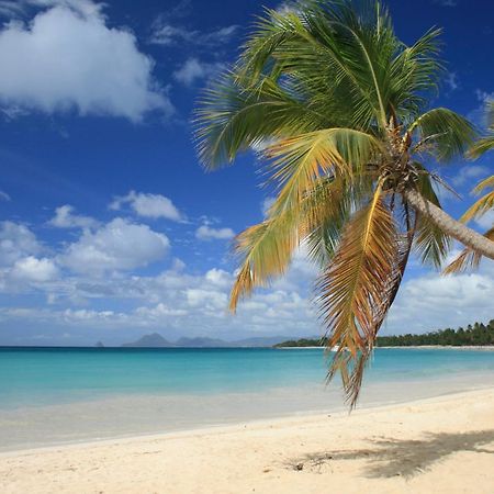 - Les Pieds Dans L'Eau A 50M De La Plage, Cote Mer Caraibe - Domaine De L'Anse Caritan - Sainte-Anne - 외부 사진