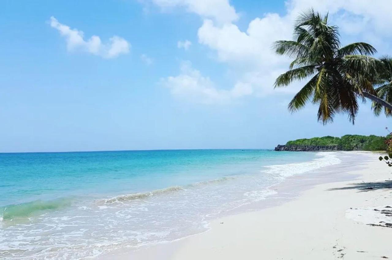 - Les Pieds Dans L'Eau A 50M De La Plage, Cote Mer Caraibe - Domaine De L'Anse Caritan - Sainte-Anne - 외부 사진